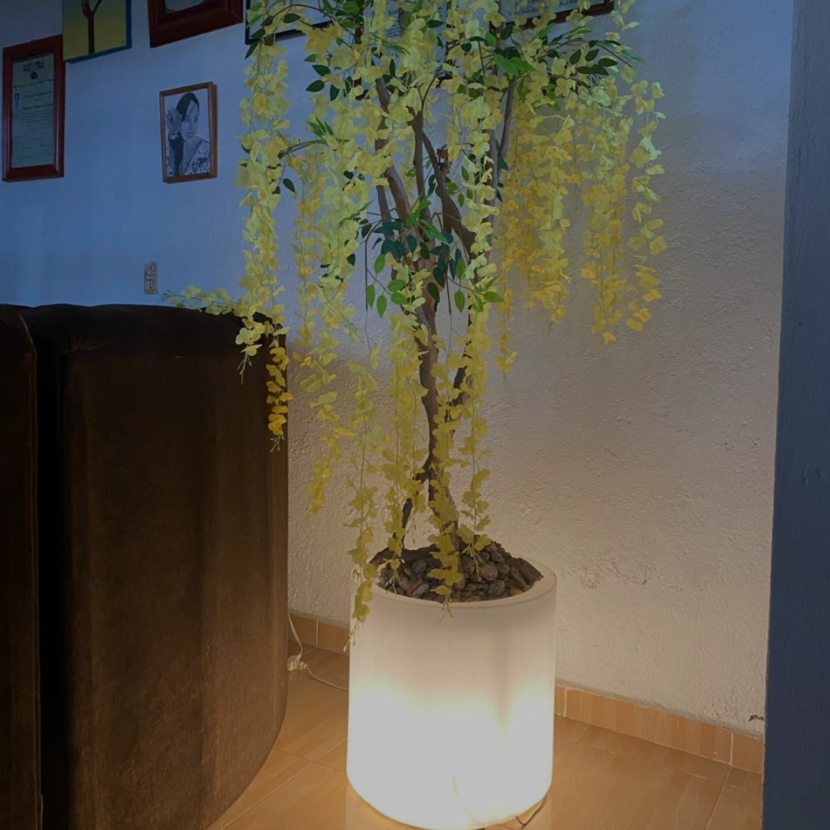 24 kilates Cio_24kilates