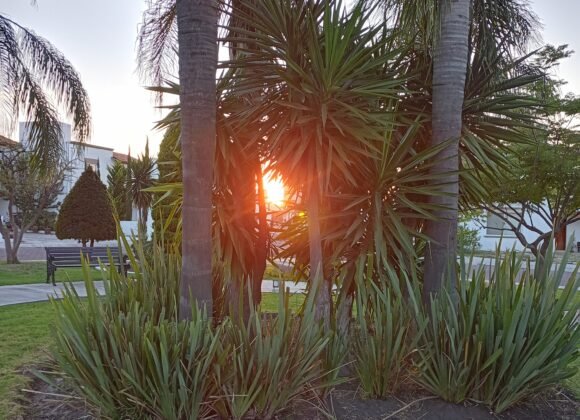 {"capture_mode":"AutoModule","faces":[]}