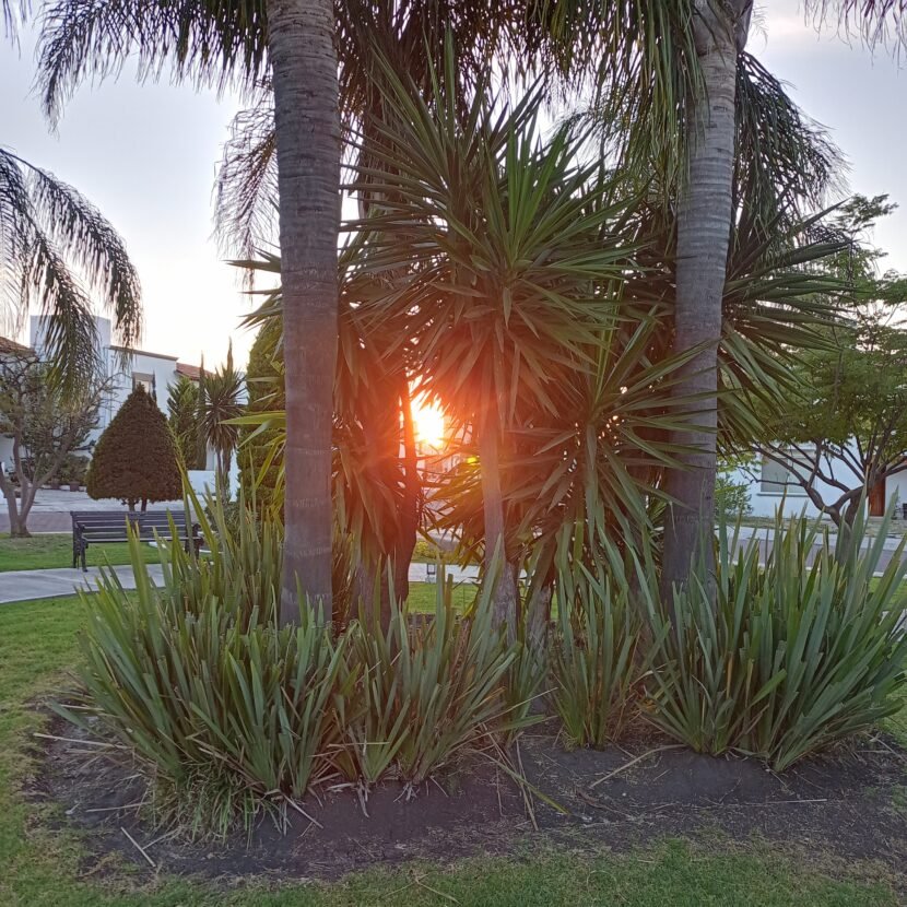 {"capture_mode":"AutoModule","faces":[]}