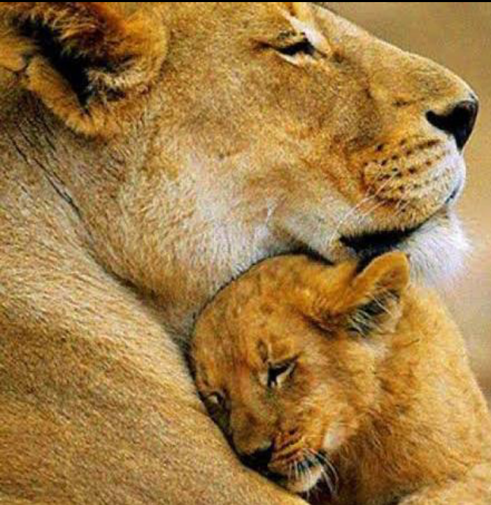 Screenshot_20220423-195318 (1)