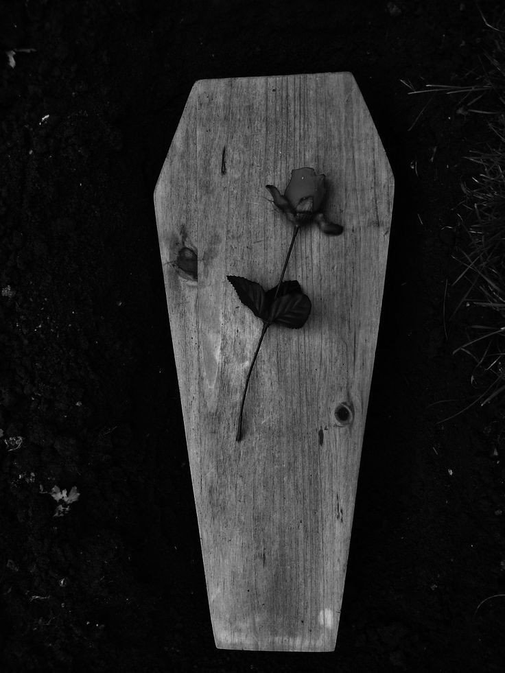 "Vida final" 263386d83999814f0d19182e24f9465b