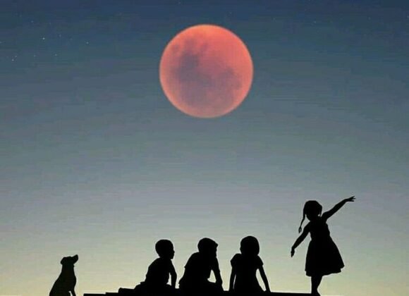 5ef4a202822601e3a8523e752ba3569a