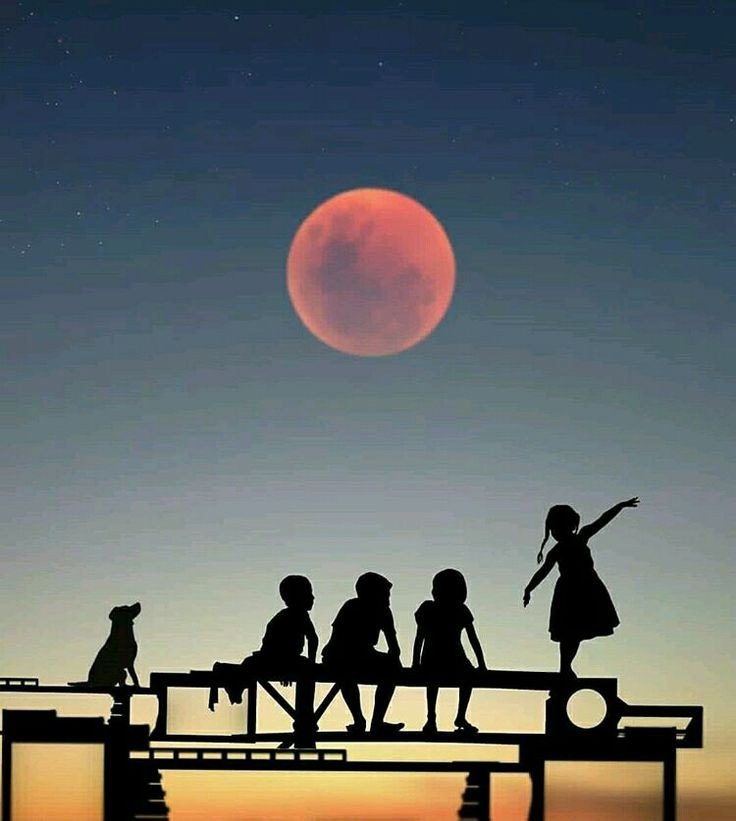 5ef4a202822601e3a8523e752ba3569a