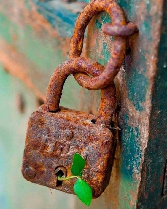 VIVIR ES ESPERANZA 35220bd5a4678594c89d464588a13d1c