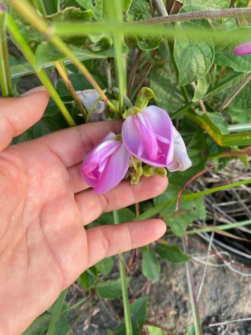 Menos es más IMG_1323