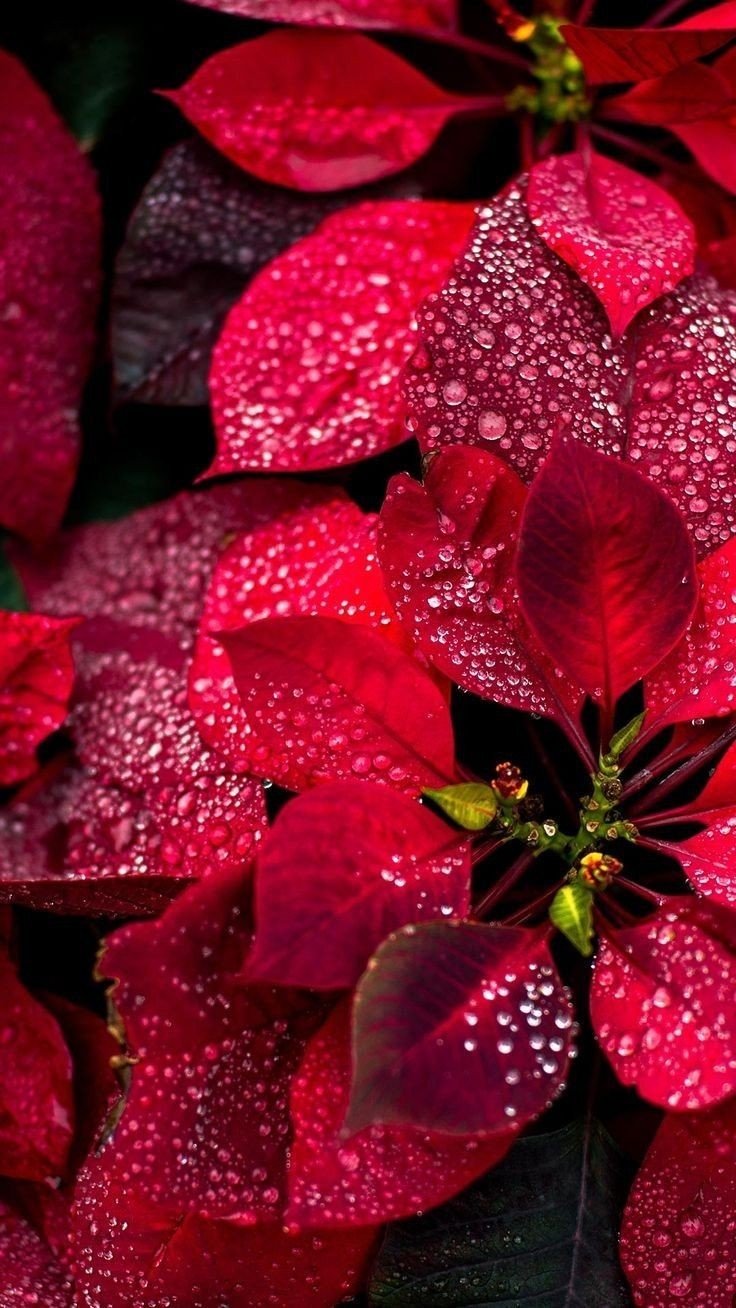 36df53fff5dc20c9b35c83500ebb30a0