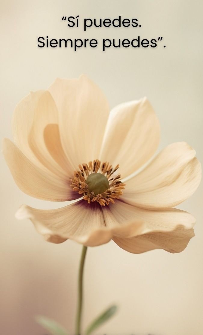 55bdc57f2b76686444ad1cbb523a31ad_edit_777307904877744