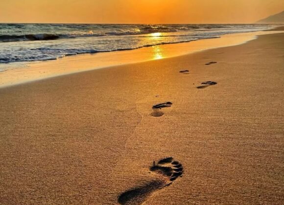 dc40e90ba8bd5ac2b3f242058013da63